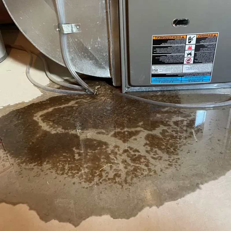 Pipe Burst and Leak Restoration in East Ithaca, NY